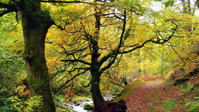 Paisajes de España. Asturias/ Landscapes of Spain. Asturias/ Paisaxes d'España. Asturies