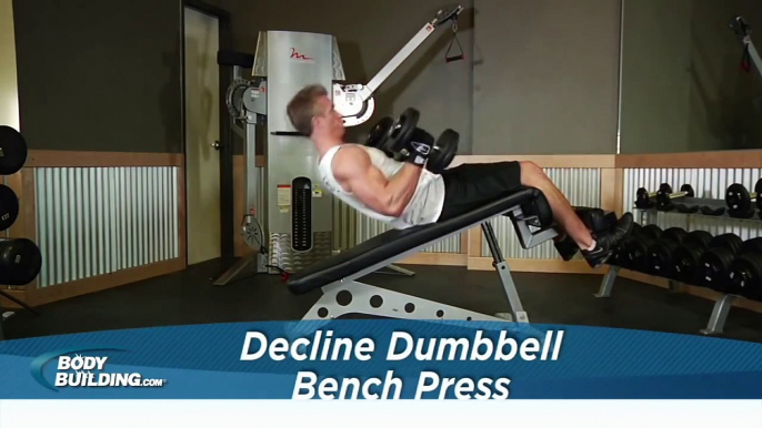 Decline Dumbbell Bench Press  - Chest Exercise - Bodybuilding.com