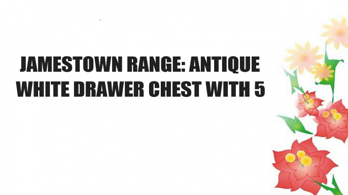 JAMESTOWN RANGE: ANTIQUE WHITE DRAWER CHEST WITH 5