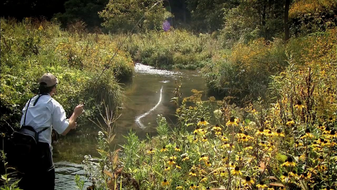 Fly Fishing for Fall Brook Trout