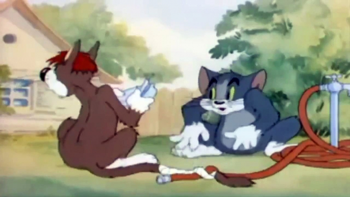 Tom and jerry Cartoon -  League Of Cats