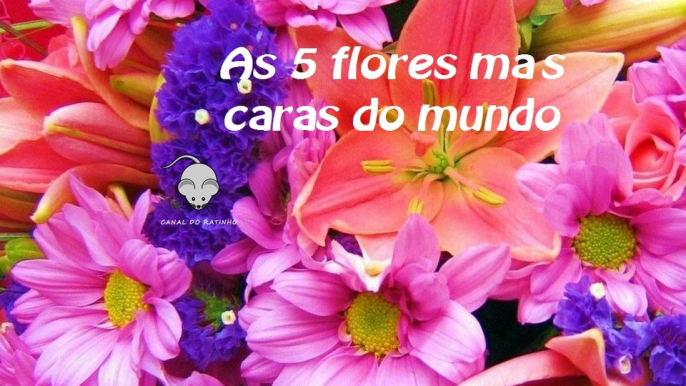 As 5 flores mais caras do mundo