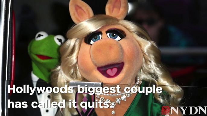 Kermit the Frog and Miss Piggy Call It Quits