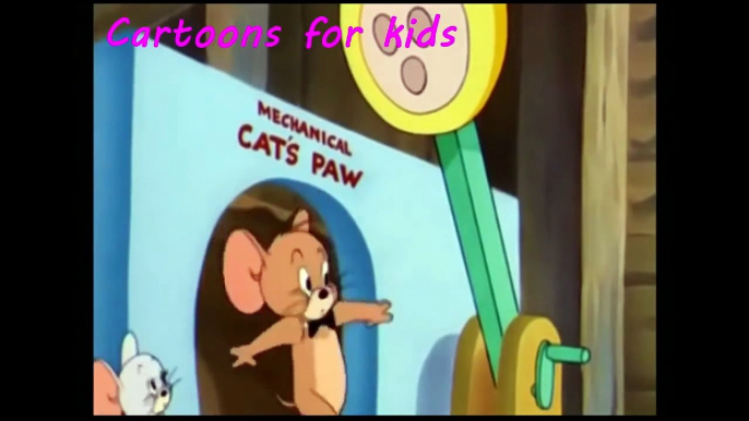 Tom And Jerry 2 Series |   Little School Mouse & Mice Follies |