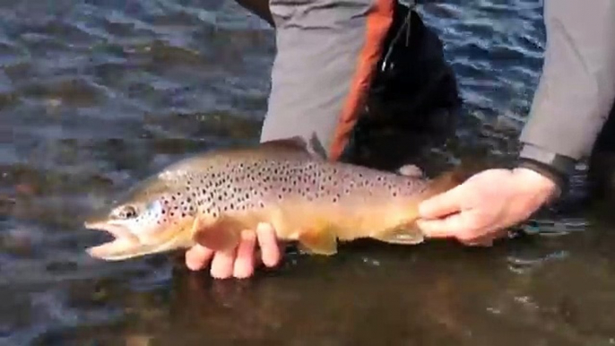 Fly Fishing Patagonia - El Aura - Fly Fishing Soul - Cameron Lodge, Río Grande, Chile