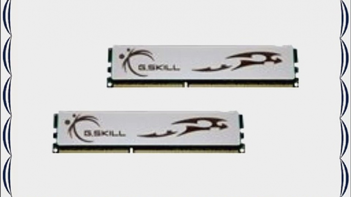 G.Skill PC3-10666 Arbeitsspeicher 4GB (1333 MHz 240-polig) DDR3-RAM Kit