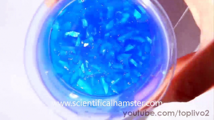 How to grow beautiful crystals of salt - do your chemical experiment!