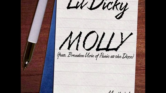 Lil Dicky - Molly (feat. Brendon Urie of Panic at the Disco) [Mozilajake Artwork]