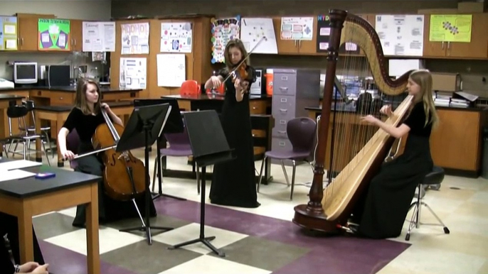 Violin, Cello and Harp perform Canon in D - Pachelbel