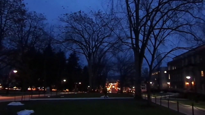 A Murder of Crows on the PSU Quad at Dusk