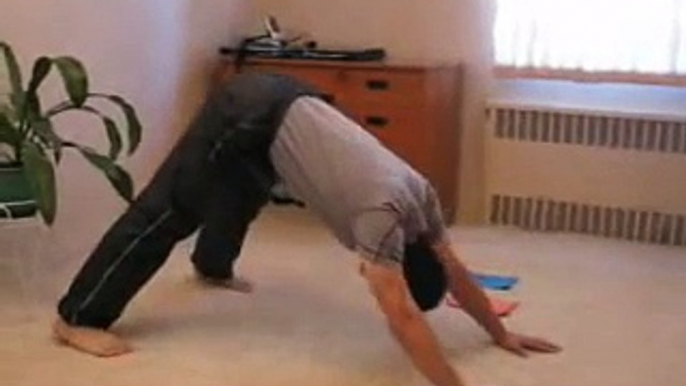 PUSH UPS Hindu vs Divebomber "Push Up" Pushup Cool Pushup BodyWeight Training  Paul Zaichik