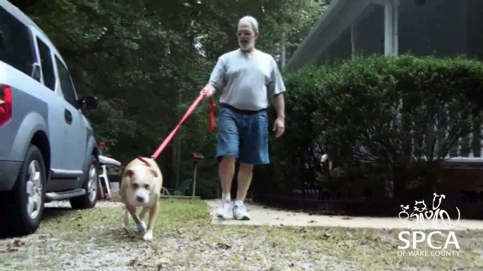 SPCA of Wake County, saving more than just homeless pets