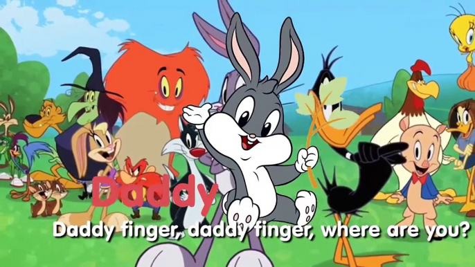 Looney Tunes Finger Family Collection Baby Looney Tunes Cartoon Animation Preschool Educat