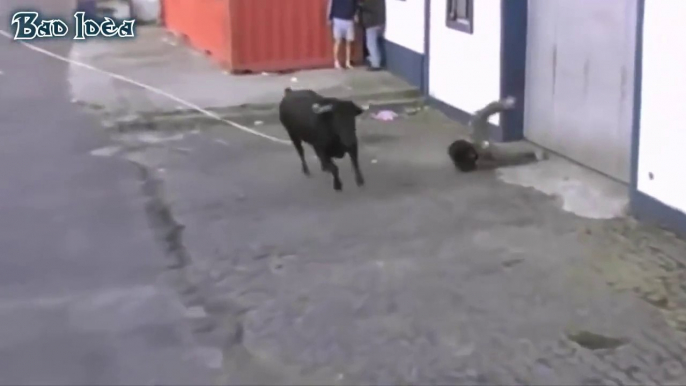 Funny videos Don't Mess with The Bull People fails bull fighting Stupid people doing stupid thing