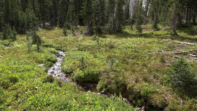 Hiking in the Grand Teton National Park: Paintbrush Canyon - Cascade Canyon Loop, Wyoming, USA in 4K