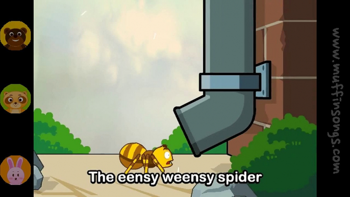 Muffin Songs - Eensy Weensy Spider (Itsy Bitsy) nursery rhymes & children songs with lyrics  muffin songs