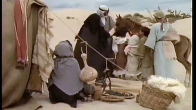 Arabian Horses ~ A tale of obedience