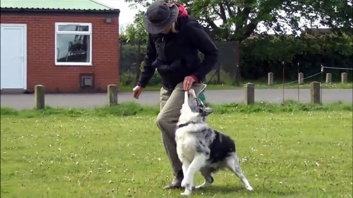 Shirley Clowes obedience training may 2015