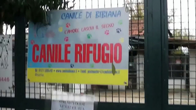 Presentazione Canile Di Bibiana parte 1