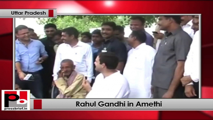 Rahul Gandhi in Amethi