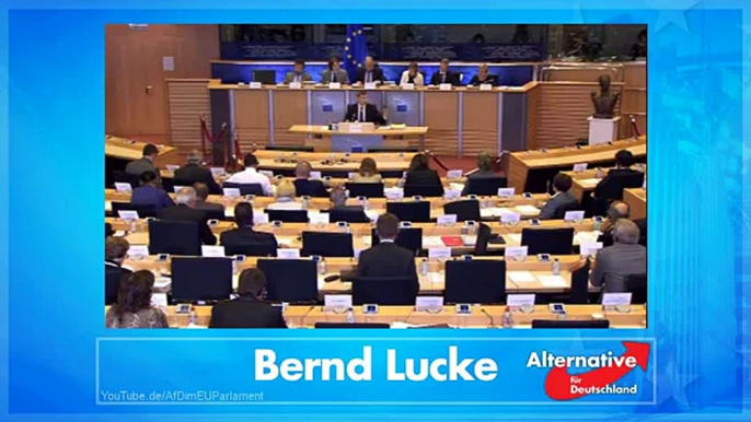 Bernd Lucke fragt: Ausstieg aus dem Euro möglich?  Aus dem EU-Parlament