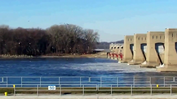 Eagle Viewing on the Upper Mississippi River National Wildlife Refuge