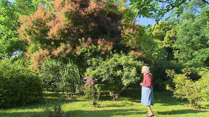 Jardin de Normandie : les jardins et roseraie du Château de Miserey