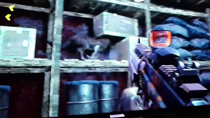Farcry 4 this is wierd