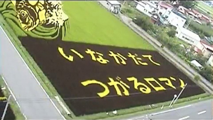 2008 Rice field art of top of Japan(日本一の田んぼアート)
