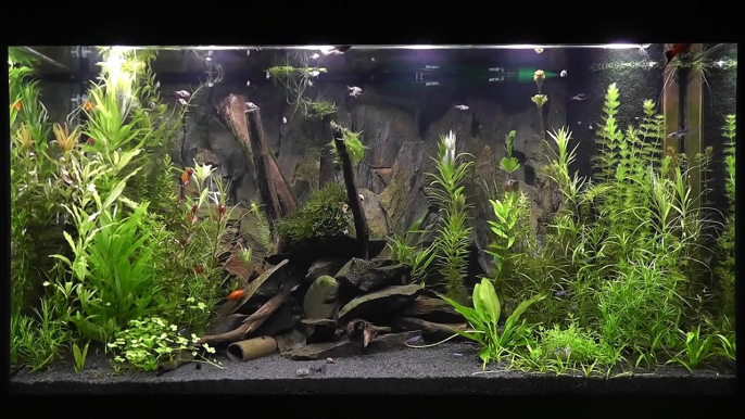 LED Aquarium Beleuchtung Daytime Cluster Control mit Tageslichtsimulator "Easy Time Controll"