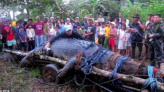 World's Biggest Animals All Time