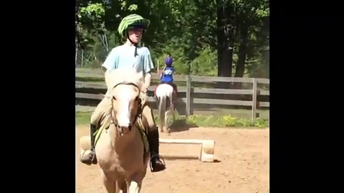 A Day at the Barn