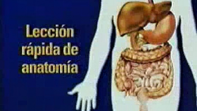 el colon intoxicado