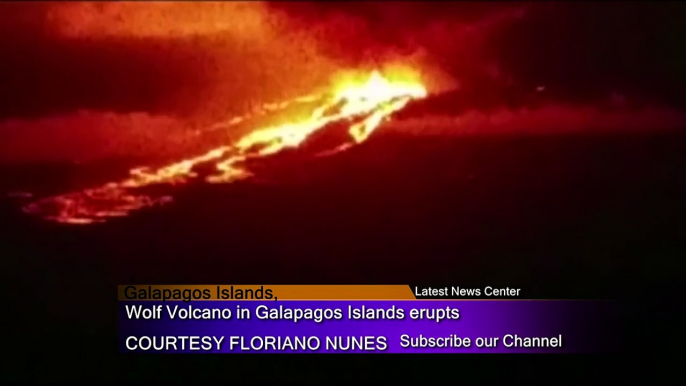 Wolf Volcano in Galapagos Islands erupts