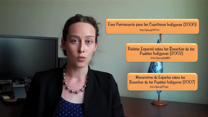 Pregúntale al ACNUDH - Respuesta #6: Derechos humanos y pueblos indígenas en América Latina