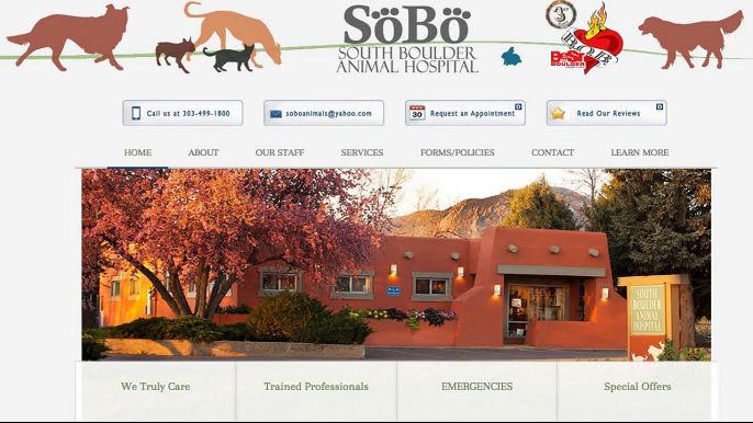 Vet Clinics Near Me Severance ,Co (303) 499-1800