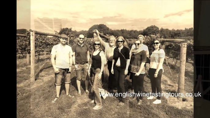 English Wine Tasting Tours - London Day Out - Bolney & Bluebell Vineyard