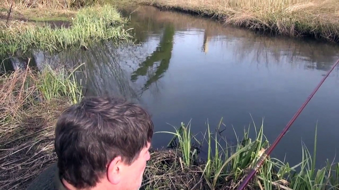 RIVER LEE & BACKWATER, LEASEY BRIDGE FISHERY, WHEATHAMPSTEAD, HERTFORDSHIRE