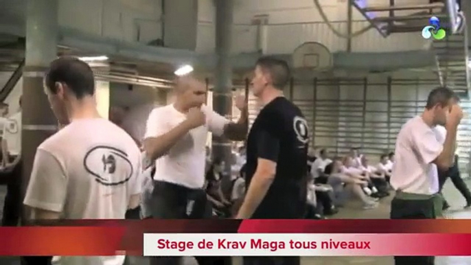 Le krav Maga par Richard Douieb