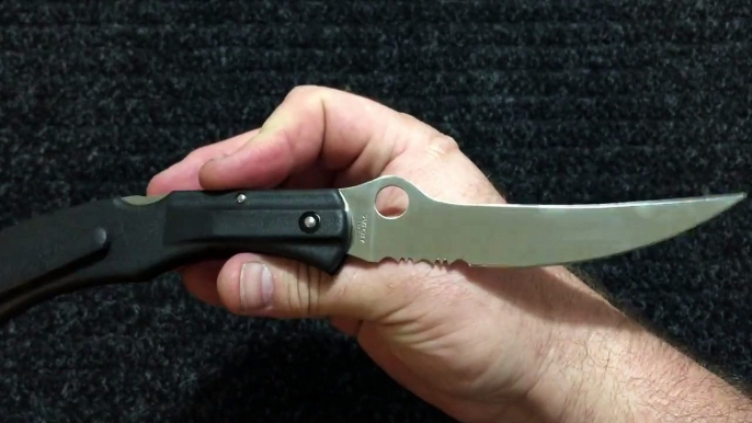 Spyderco Catcherman C17PSBKE Overview