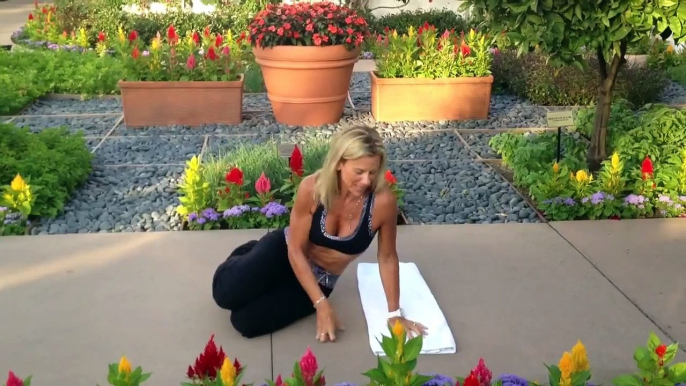 The Portable Trainer #39: Side Plank for Great Abs
