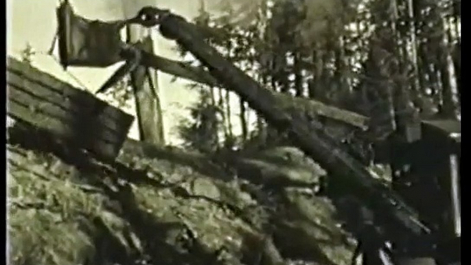 Allison Logging - Coastal Logging in the early 20th Century