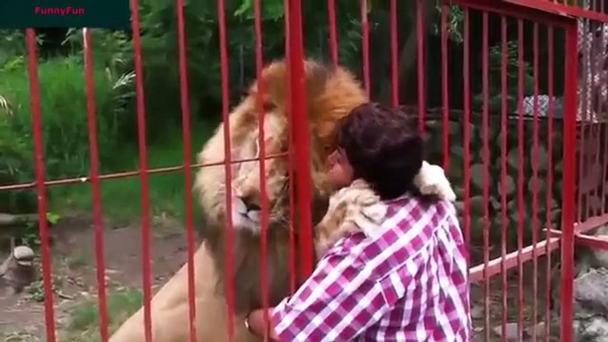 Funny Videos - Best Funny Animals compilation 2015