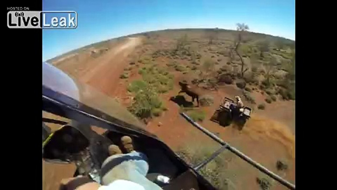 Mustering cattle Australia...some farms here are thousands of square miles...not acres