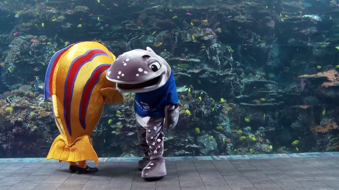 Georgia Aquarium Presents Fishercise