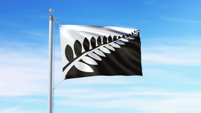 Silver Fern (Black & White), Alofi Kanter - Flag Consideration Project