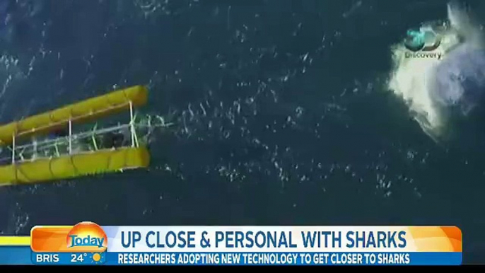 Hilarious Moment Two Reporters Literally Left Speechless After Seeing the Size of a Shark During Report