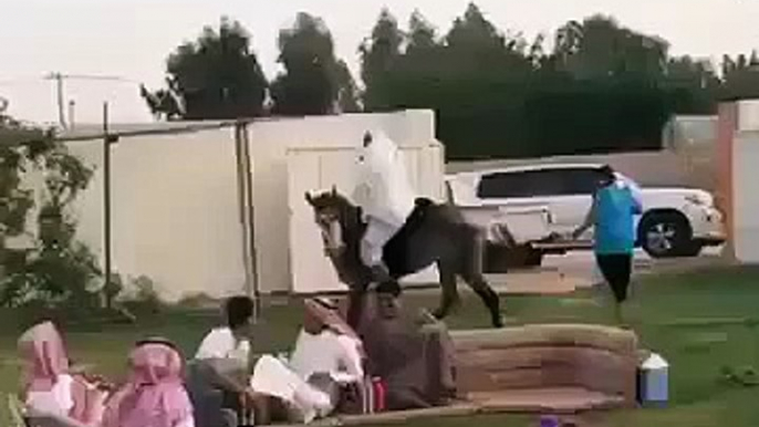 Arab funny