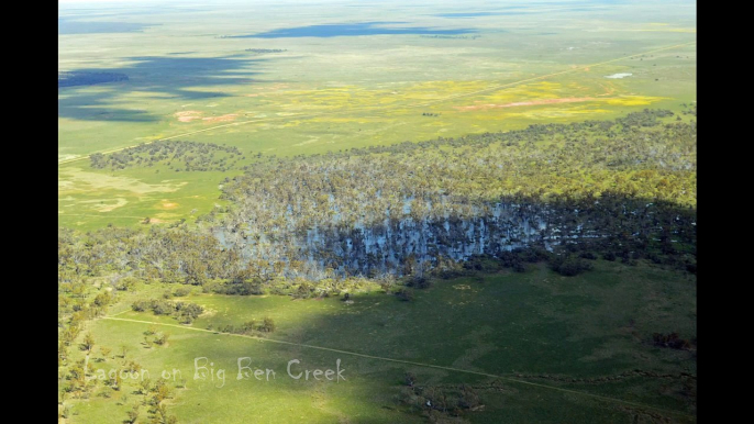 A bird's eye view: Environmental watering in the lower Lachlan River catchment