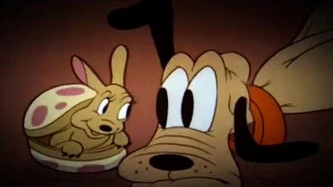 Mickey Mouse Cartoon - Pluto and The Armadillo